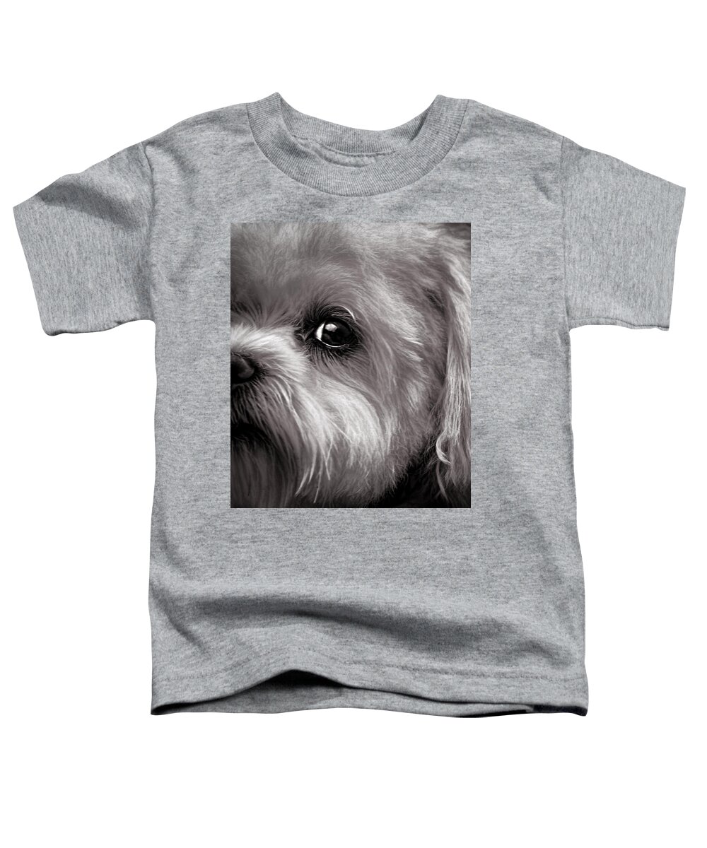 Dog Toddler T-Shirt featuring the photograph The Dog Next Door by Bob Orsillo