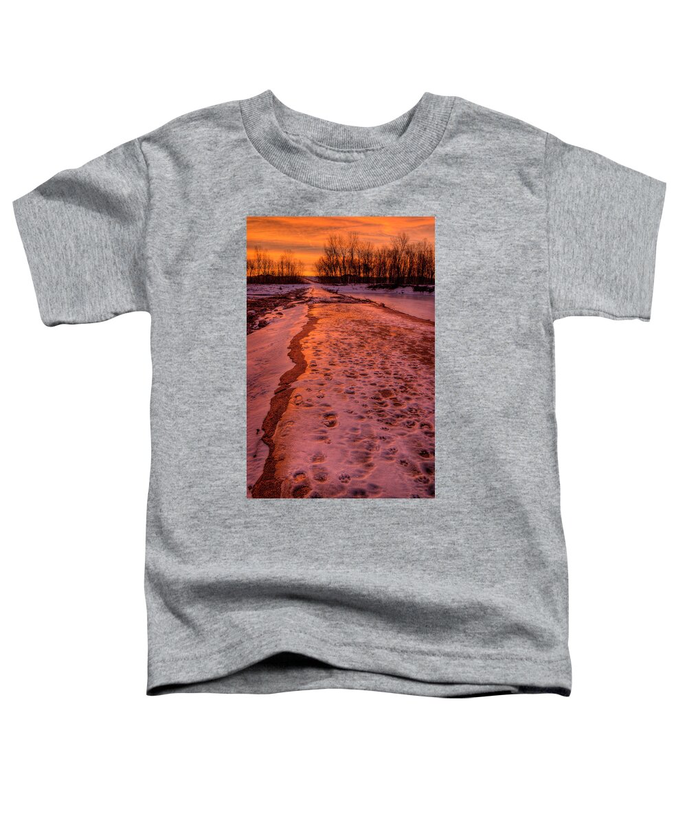 2011 Toddler T-Shirt featuring the photograph The Way Home by Robert Charity