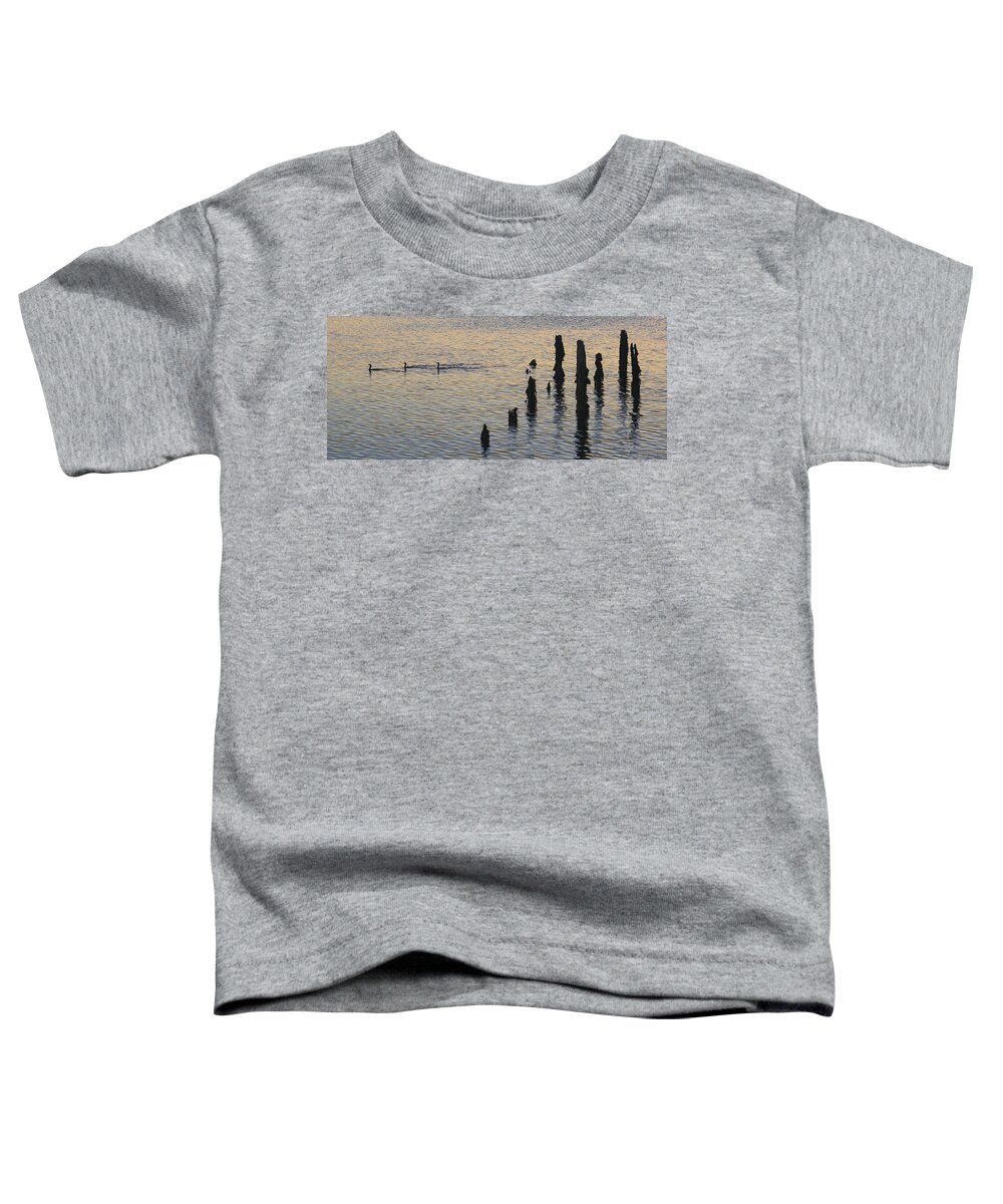 Cormorants Toddler T-Shirt featuring the photograph Three Cormorants by Marty Saccone