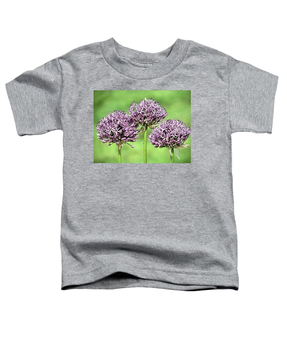 Purple Sensation Allium Toddler T-Shirt featuring the photograph Three Purple Sensation Alliums by Janice Drew