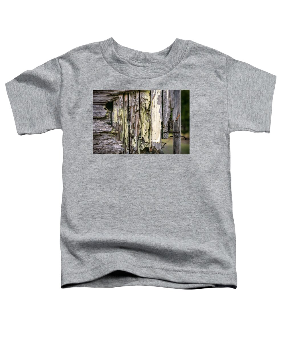 Wood Toddler T-Shirt featuring the photograph Time Passes By by Jeff Mize