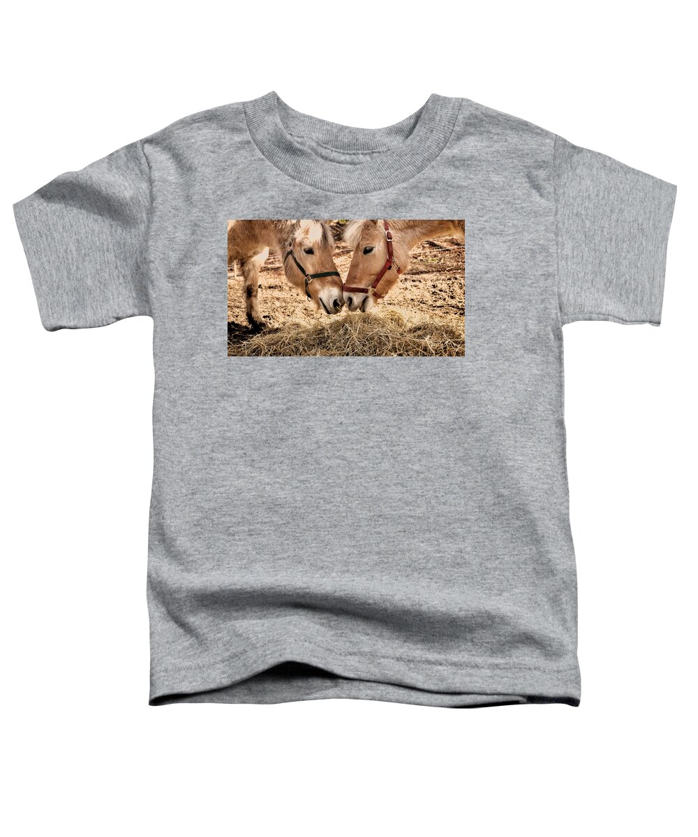 Horses Toddler T-Shirt featuring the photograph Two horses by Mike Santis