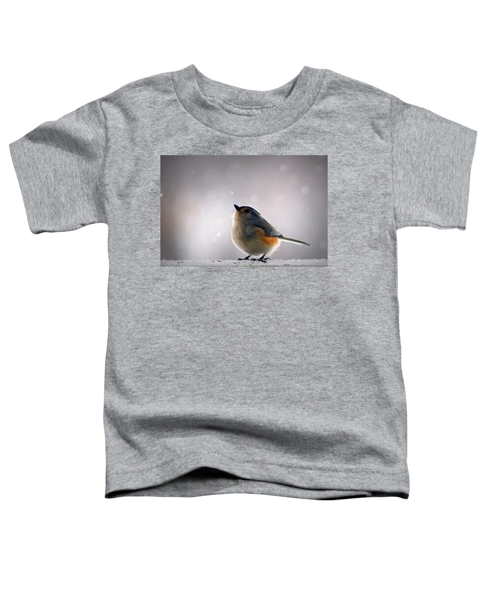 tufted Titmouse Toddler T-Shirt featuring the photograph Tufted Titmouse by Cricket Hackmann