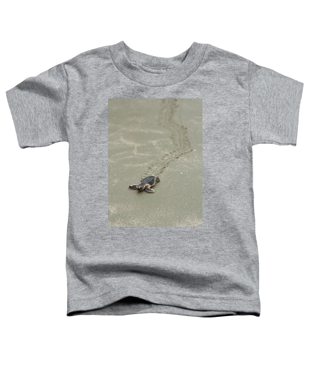 Turtle Toddler T-Shirt featuring the photograph Turtle Tracks by Patricia Schaefer