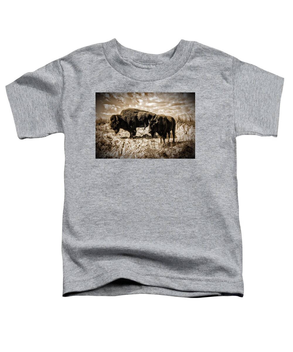 Photograph Toddler T-Shirt featuring the photograph Two Buffalo by Richard Gehlbach