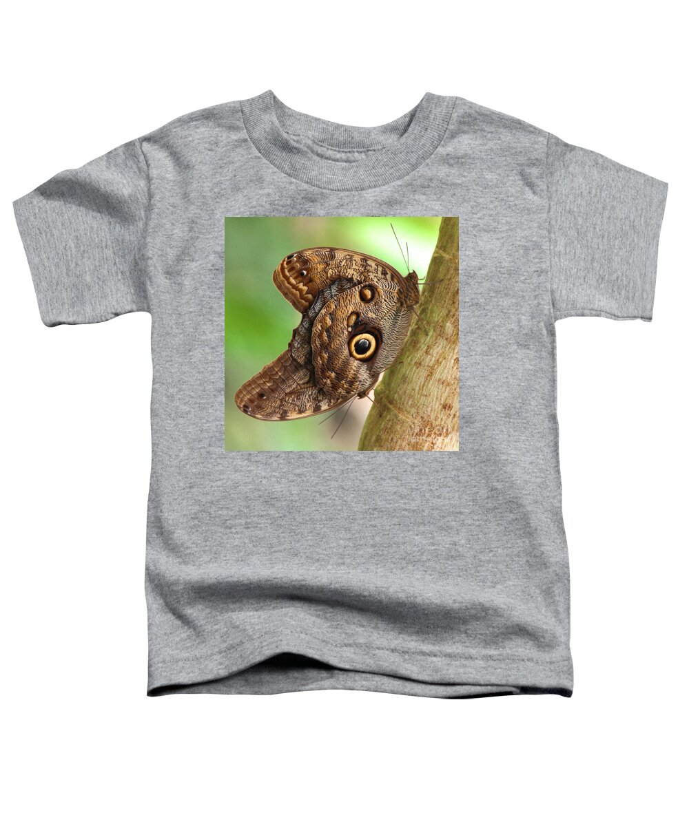 Caligo Toddler T-Shirt featuring the photograph Two Caligo Atreus Butterflies by Amanda Mohler