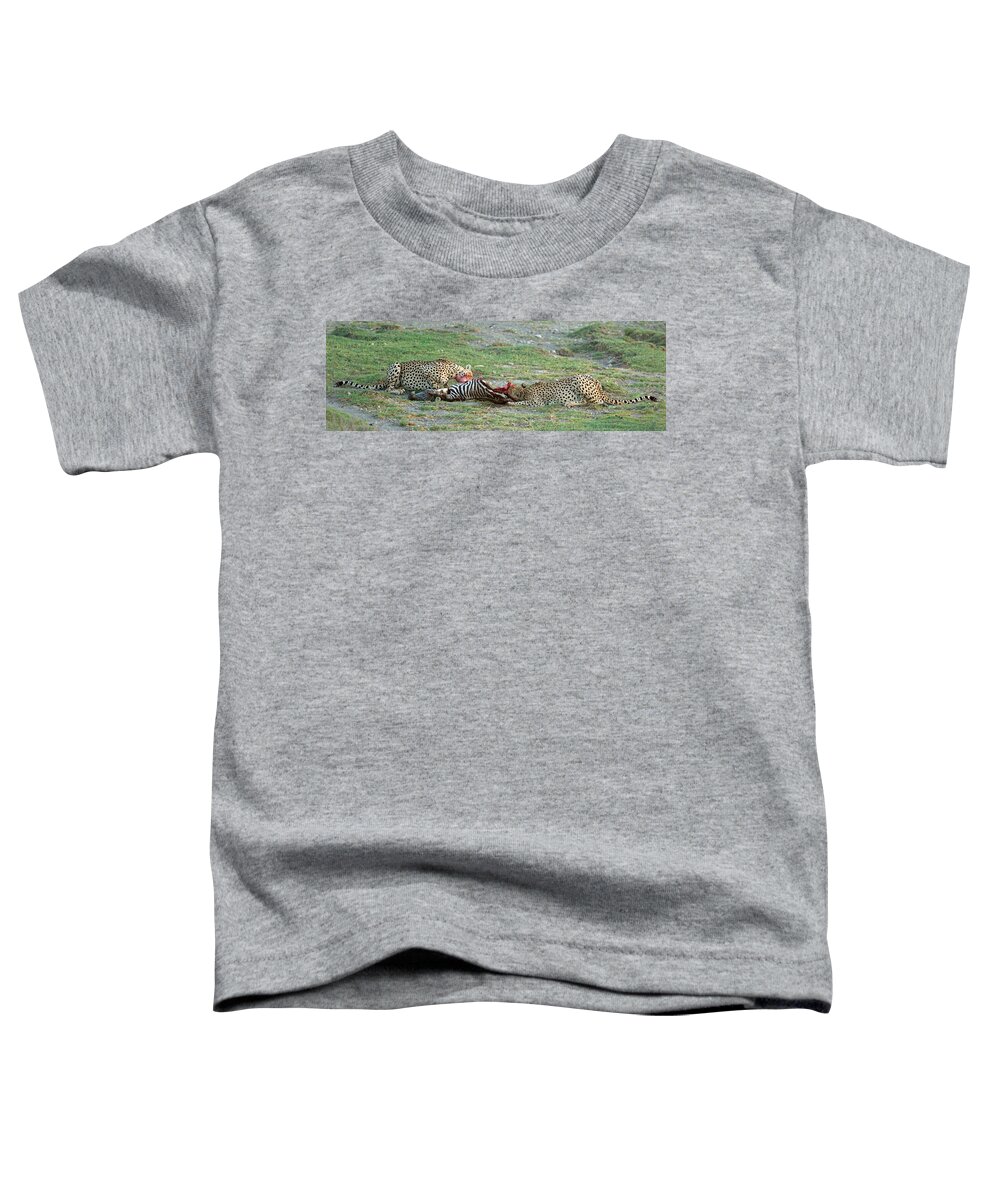 Photography Toddler T-Shirt featuring the photograph Two Cheetahs Acinonyx Jubatus Eating by Panoramic Images