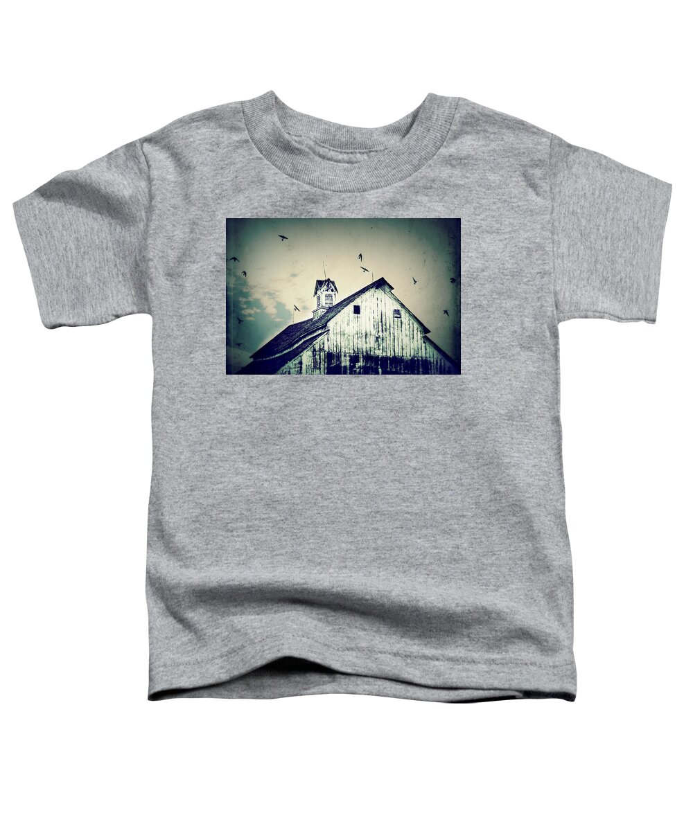 Barn Toddler T-Shirt featuring the photograph Unique Cupola by Julie Hamilton