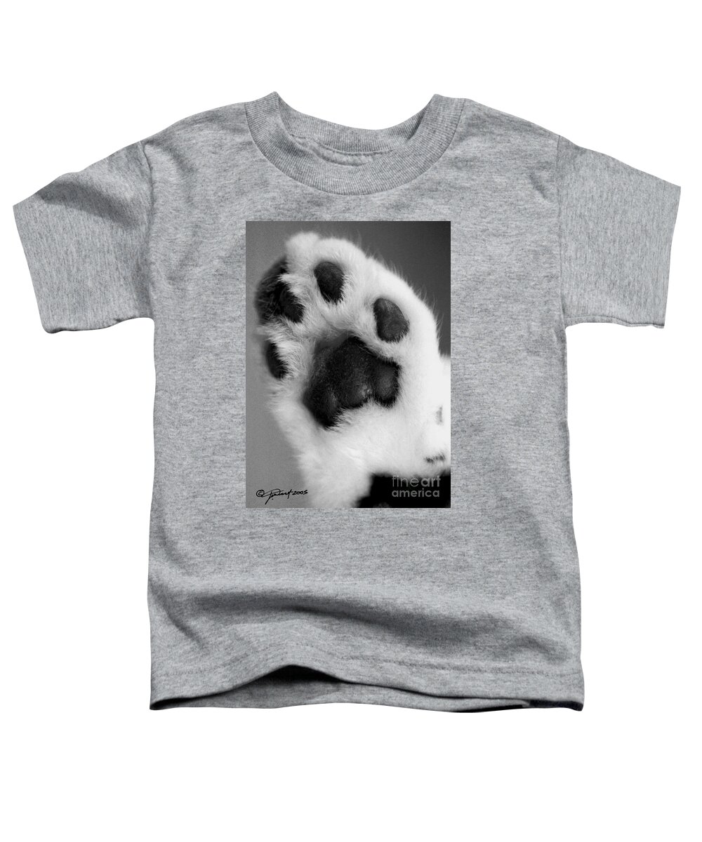 Animal Toddler T-Shirt featuring the photograph Vincents Paw by Joanne West
