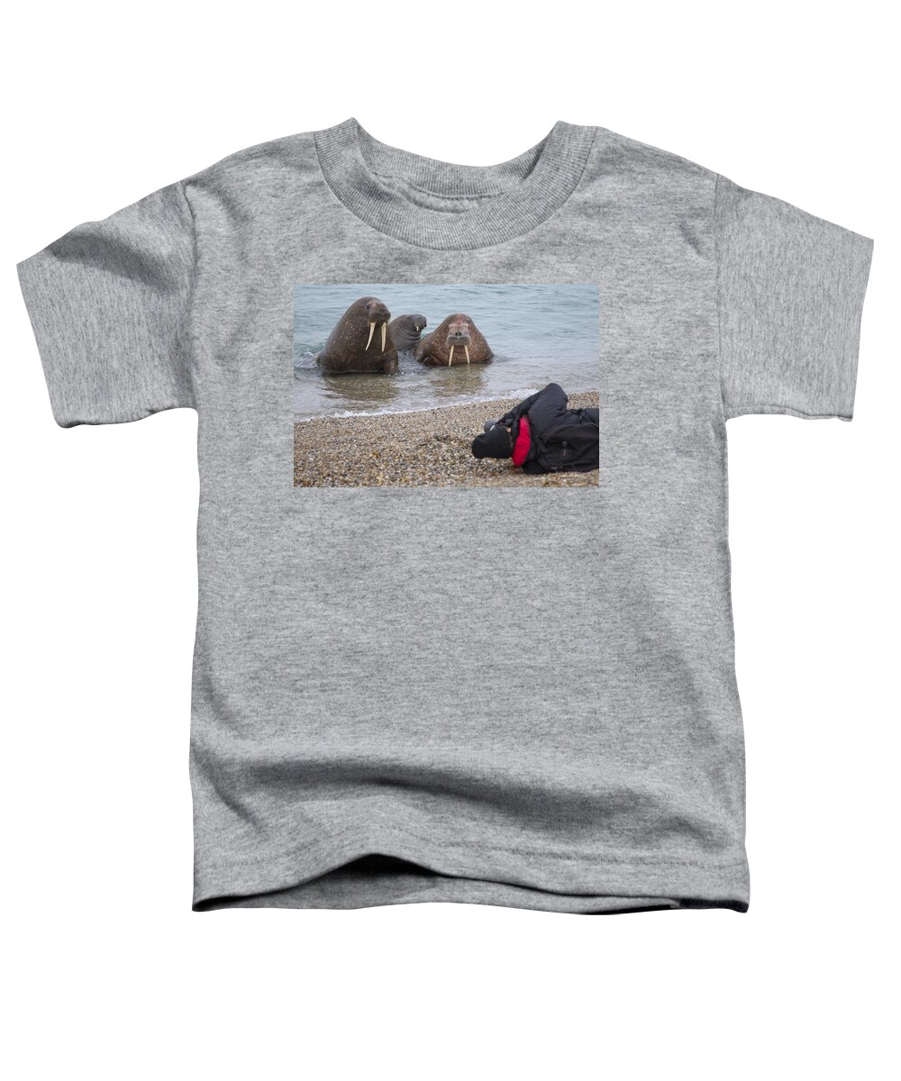 Nis Toddler T-Shirt featuring the photograph Walruses Photographed By Tourists by Peter Cairns