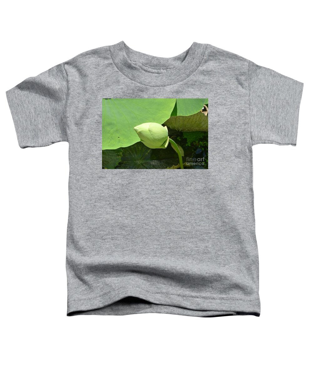 Flower Toddler T-Shirt featuring the photograph Water lily green leaves by Nora Boghossian