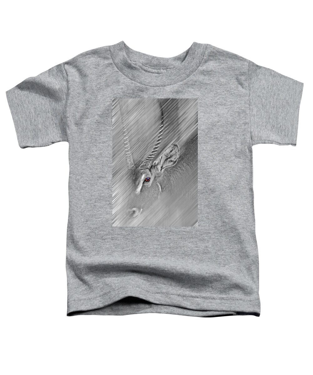 #waterbuck Toddler T-Shirt featuring the photograph Waterbuck by Miroslava Jurcik