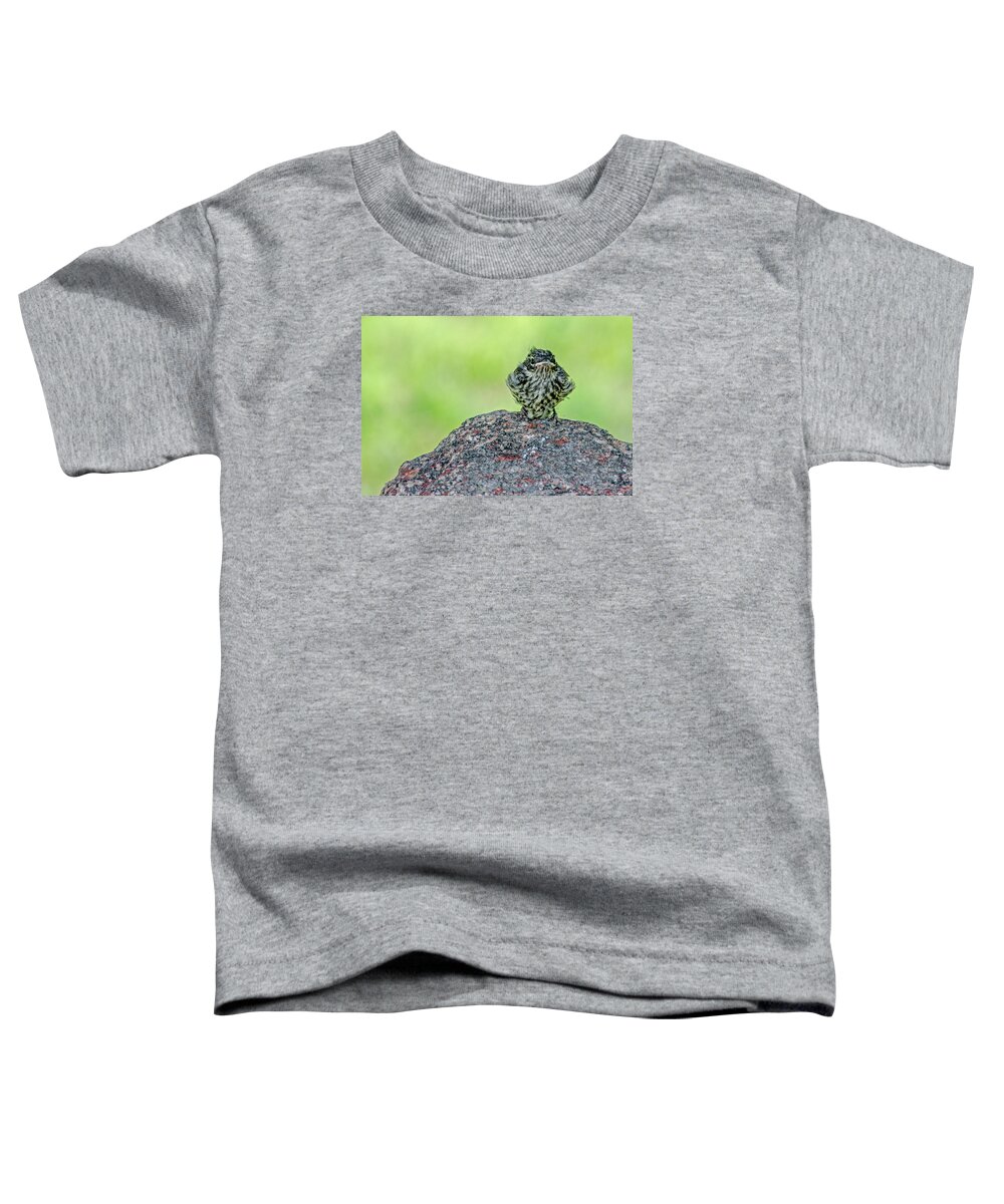 Bird Toddler T-Shirt featuring the photograph Welcome To The World by Susan McMenamin
