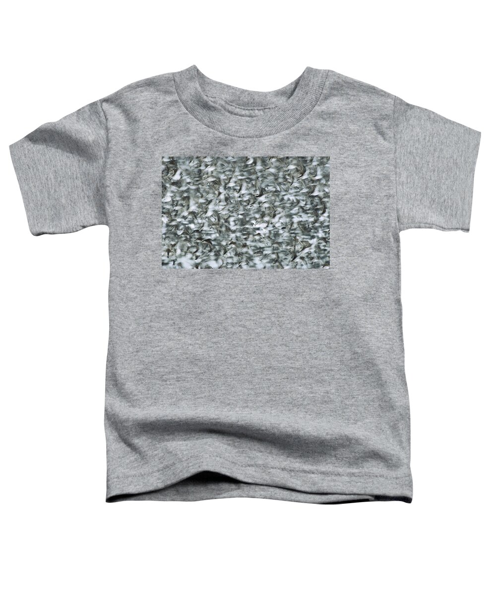 00161007 Toddler T-Shirt featuring the photograph Western Sandpiper Flock by Michael Quinton