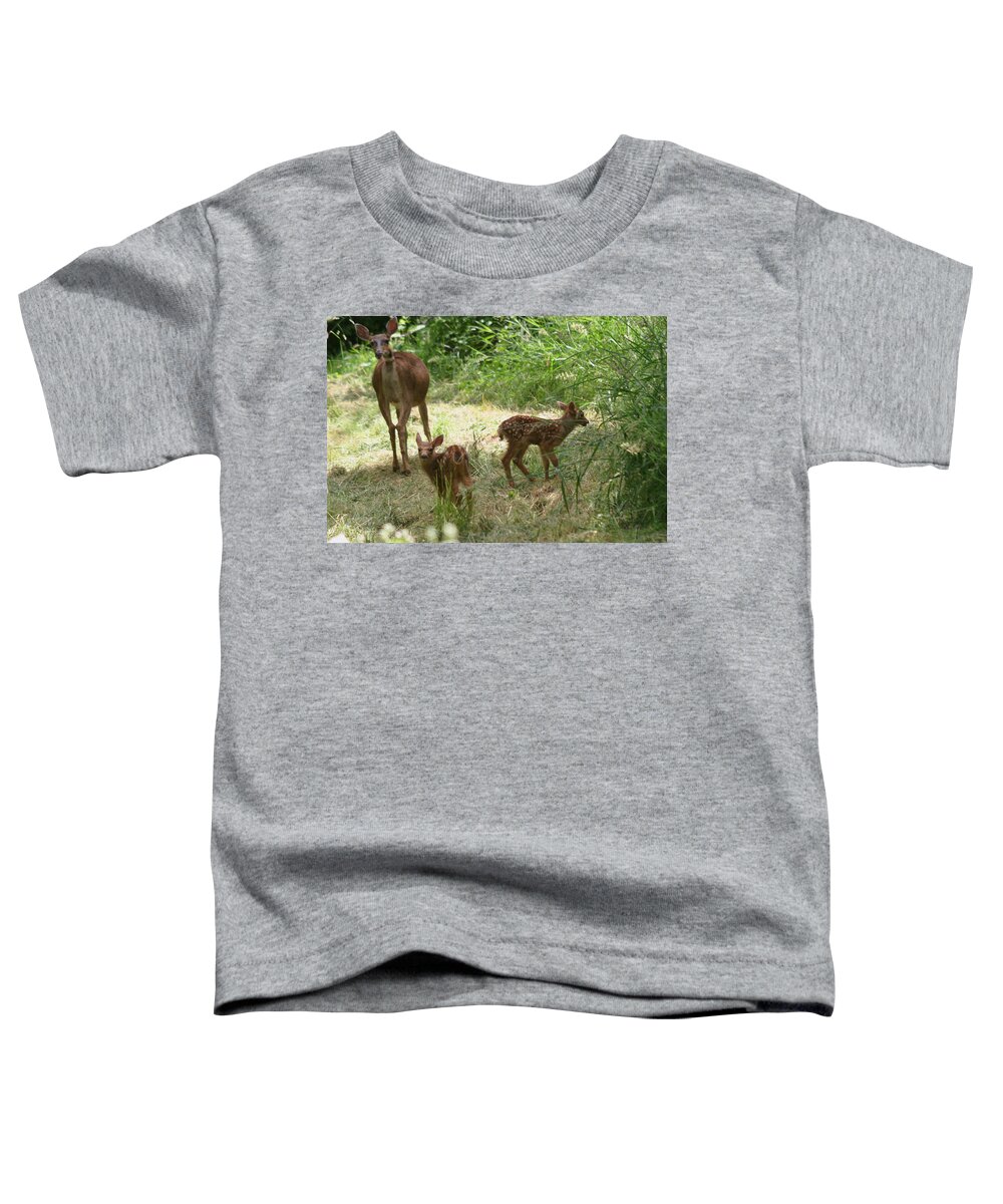 Animals Toddler T-Shirt featuring the photograph What are you doing here by Kym Backland