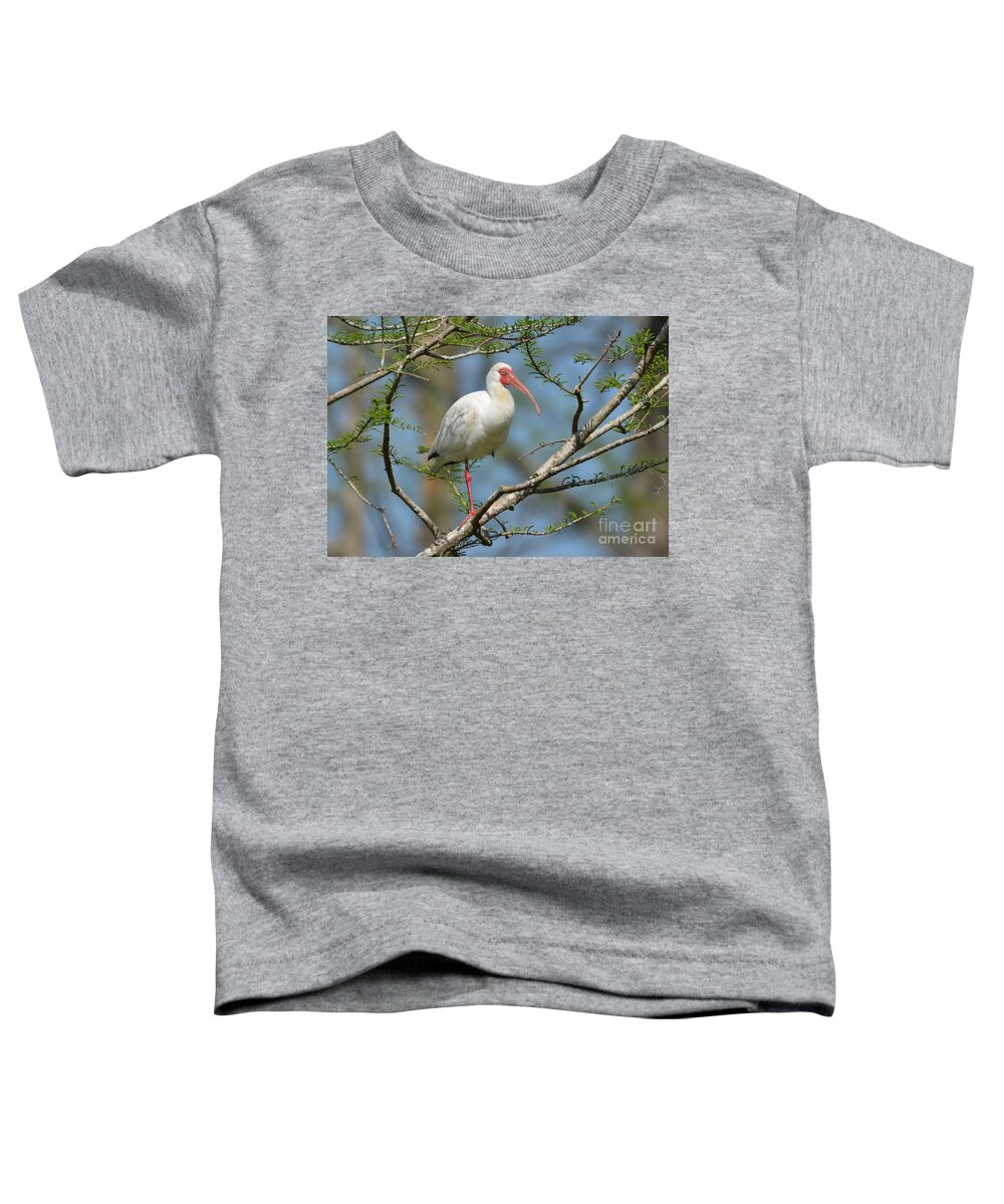 Ibis Toddler T-Shirt featuring the photograph White Ibis With Bleeding Colors by Kathy Baccari