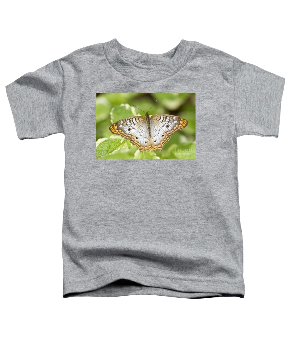 White Peacock Toddler T-Shirt featuring the photograph White Peacock Butterfly by Bryan Keil