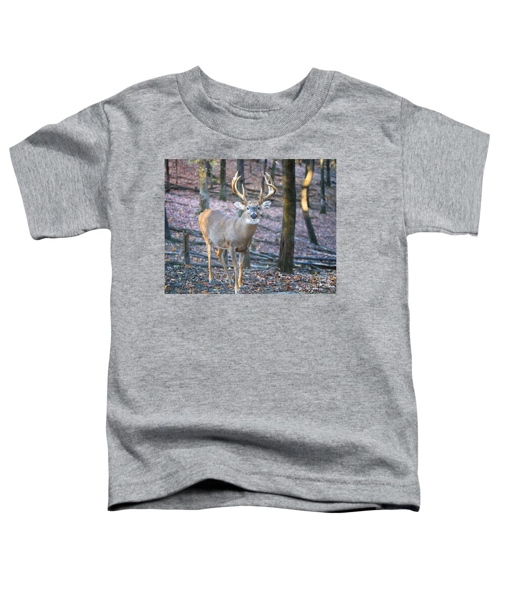 Big Game Toddler T-Shirt featuring the photograph Whitetail Buck by Ronald Lutz