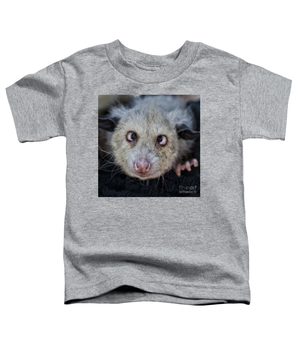 Possum Toddler T-Shirt featuring the photograph Who You Lookin At by Timothy Hacker