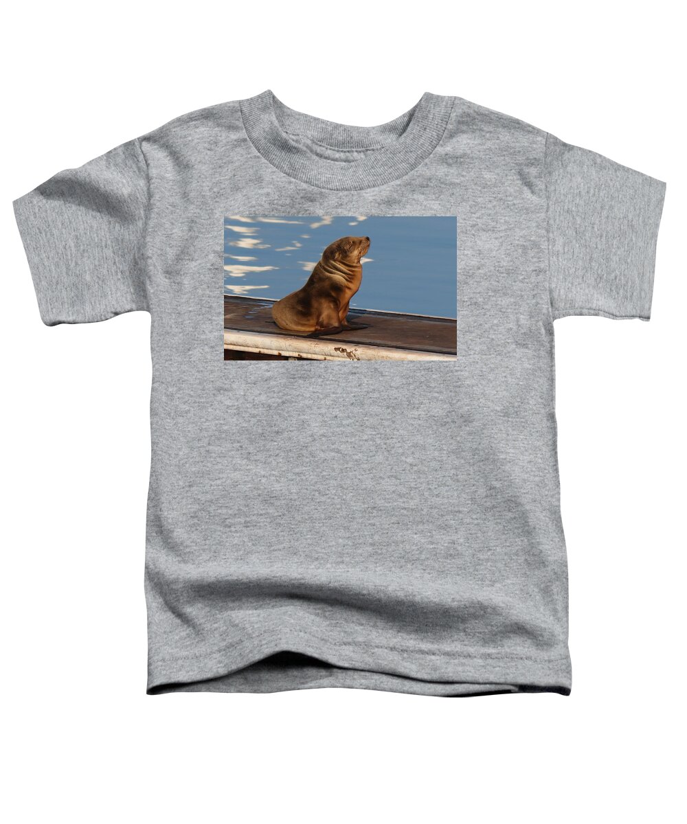 Wild Toddler T-Shirt featuring the photograph Wild Pup Sun Bathing - 2 by Christy Pooschke
