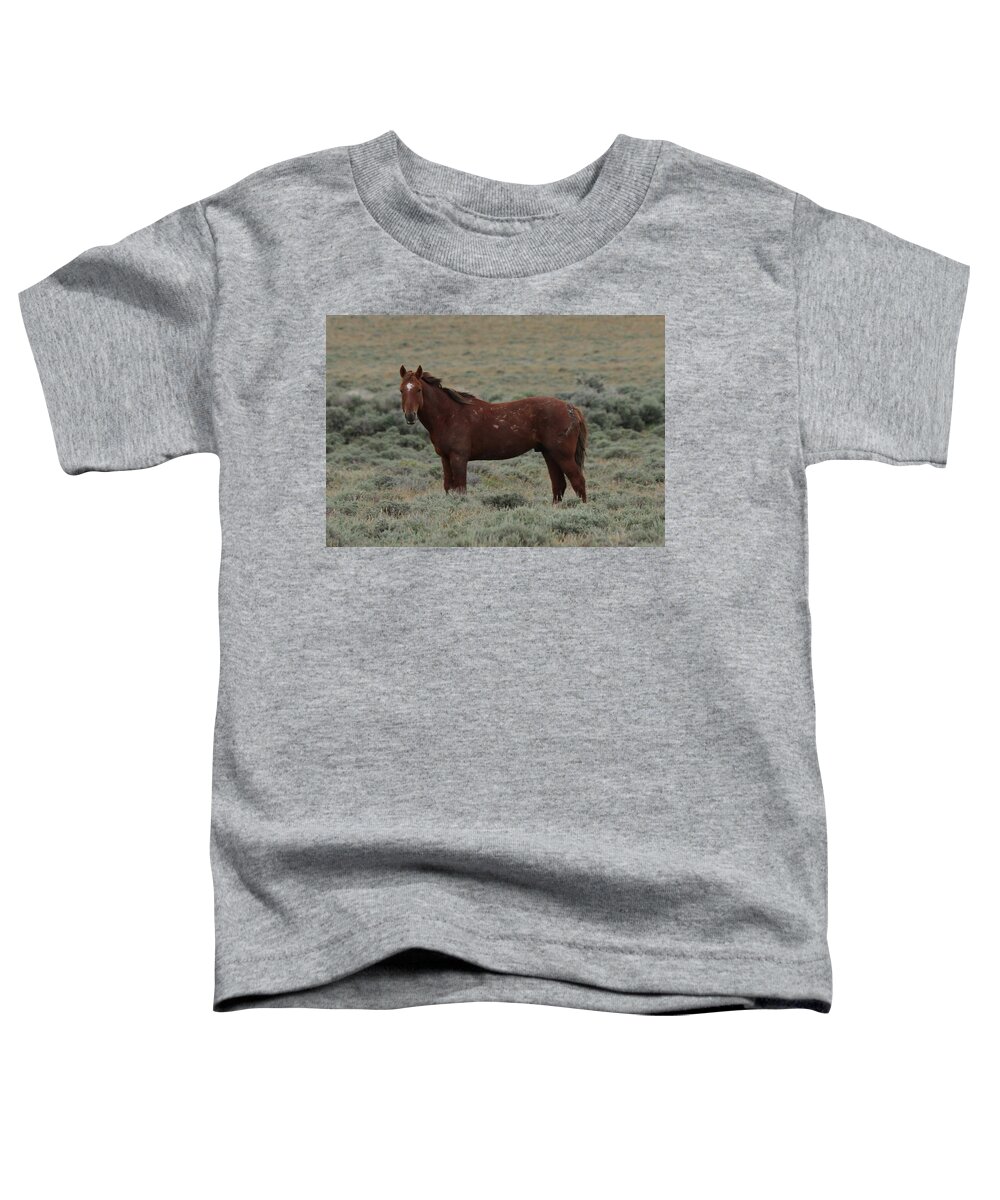 Wild Toddler T-Shirt featuring the photograph Wild Scars by Christy Pooschke