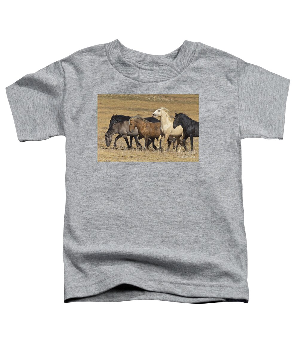 00537206 Toddler T-Shirt featuring the photograph Wild Stallion Herd Pryor Mountain by Yva Momatiuk and John Eastcott
