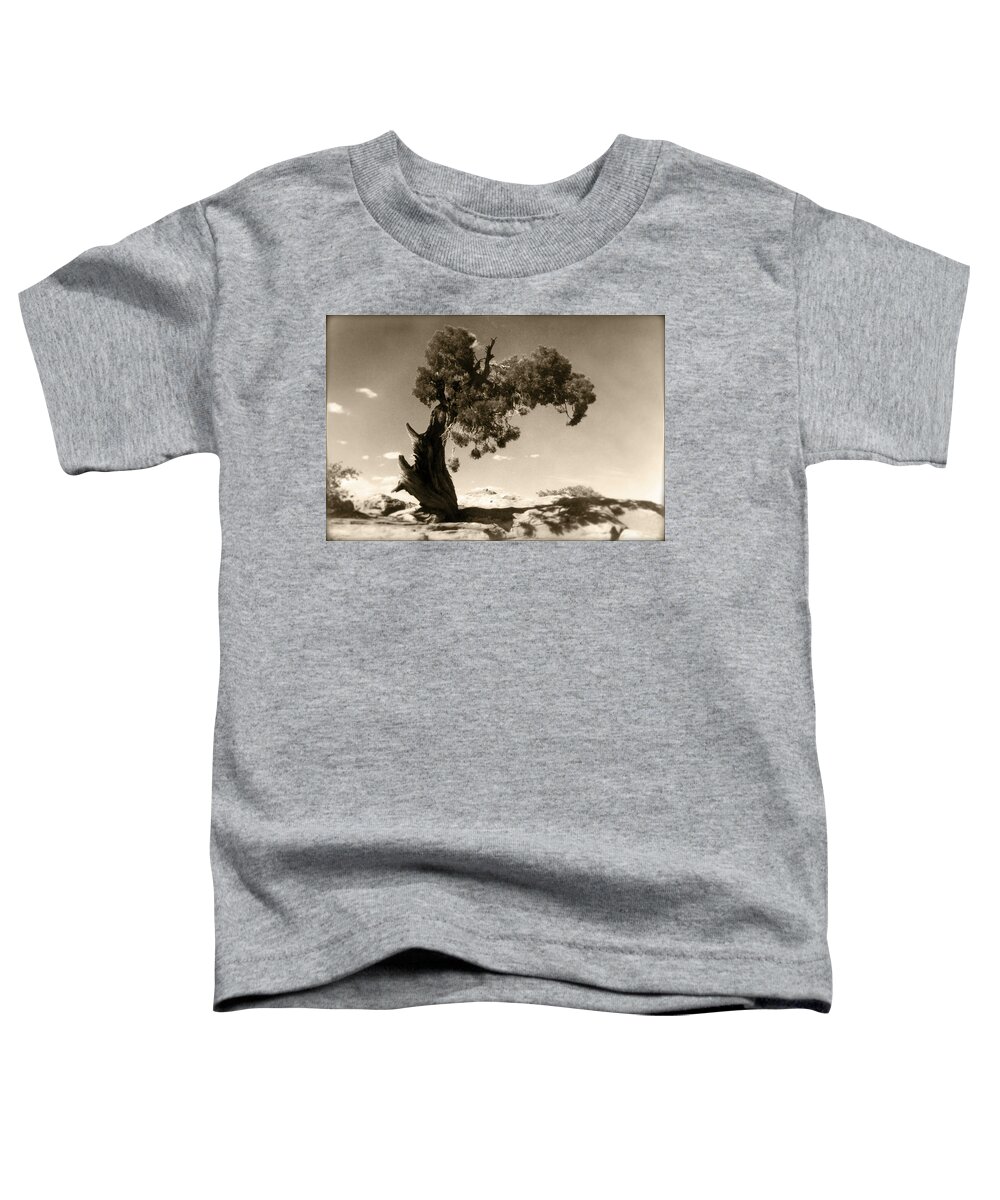 Tree Toddler T-Shirt featuring the photograph Wind Swept Tree by Scott Norris