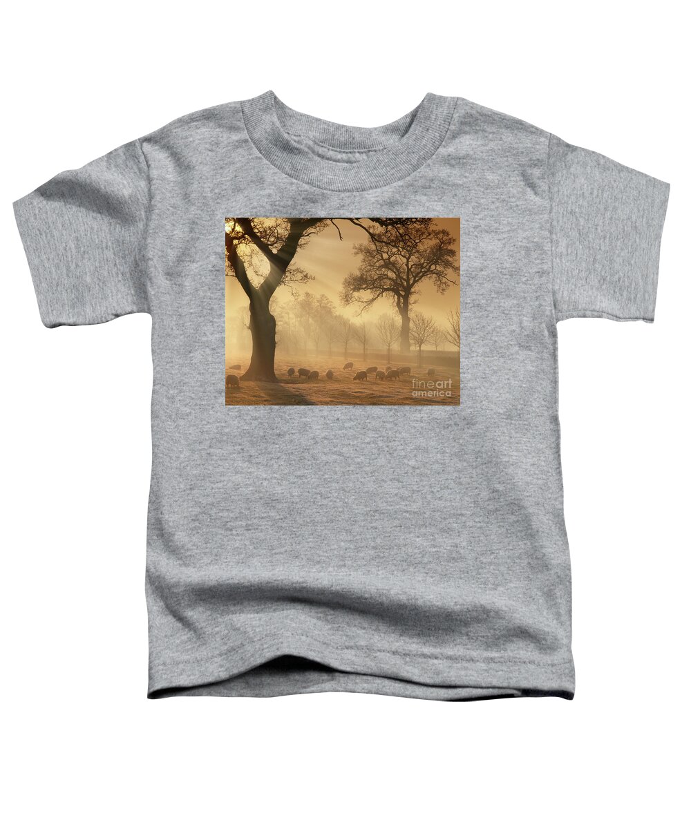 Warm Toddler T-Shirt featuring the photograph Winter's Gold by Edmund Nagele FRPS