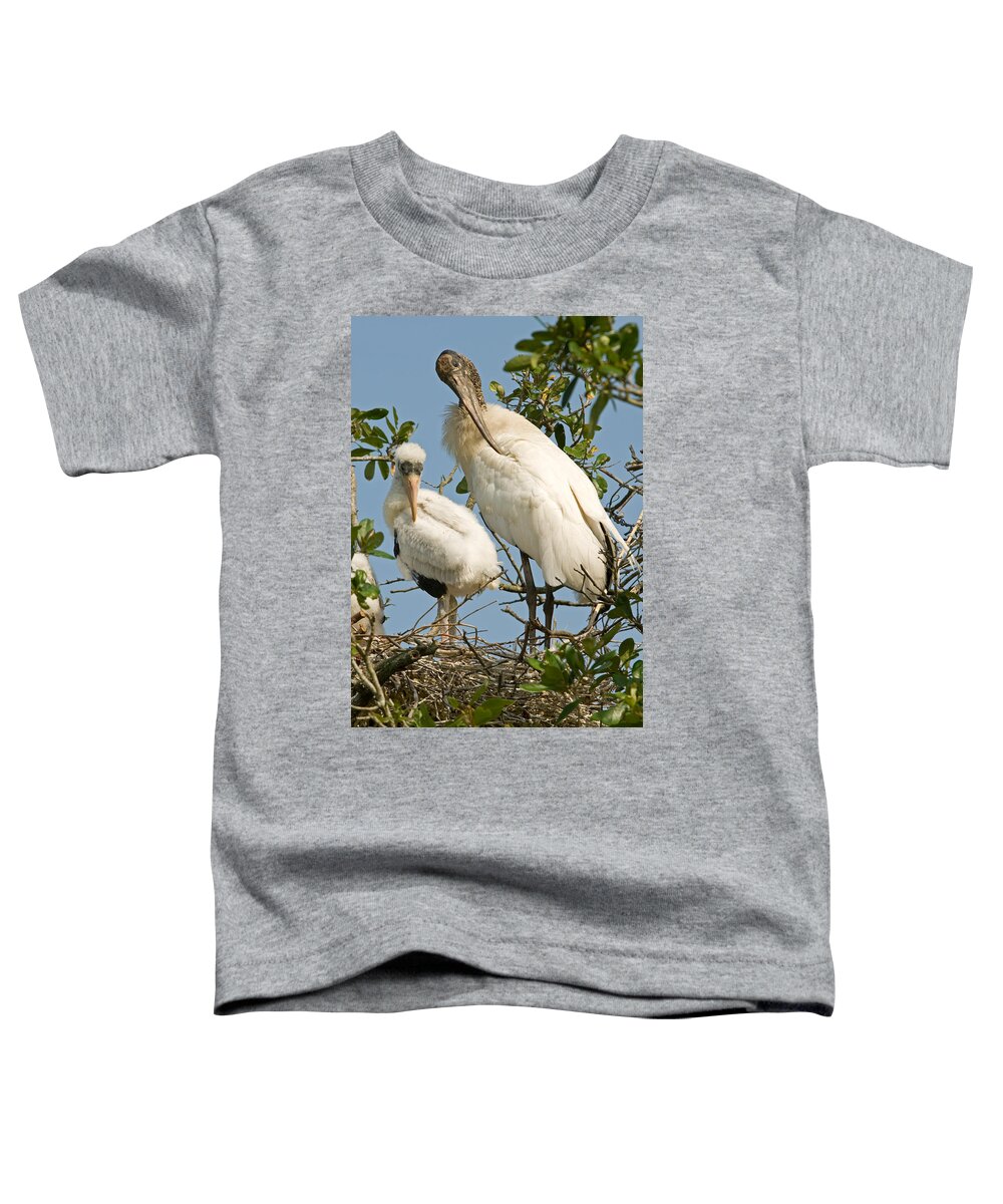 Animal Toddler T-Shirt featuring the photograph Wood Stork Adult With Young, Preening by Millard H. Sharp