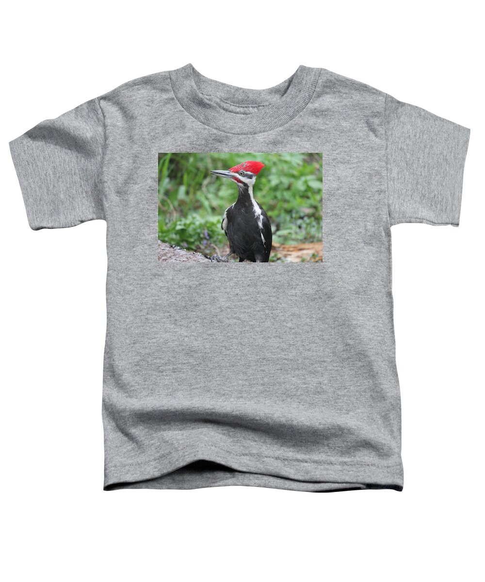 Woodpecker Toddler T-Shirt featuring the photograph Woody by Ruth Kamenev
