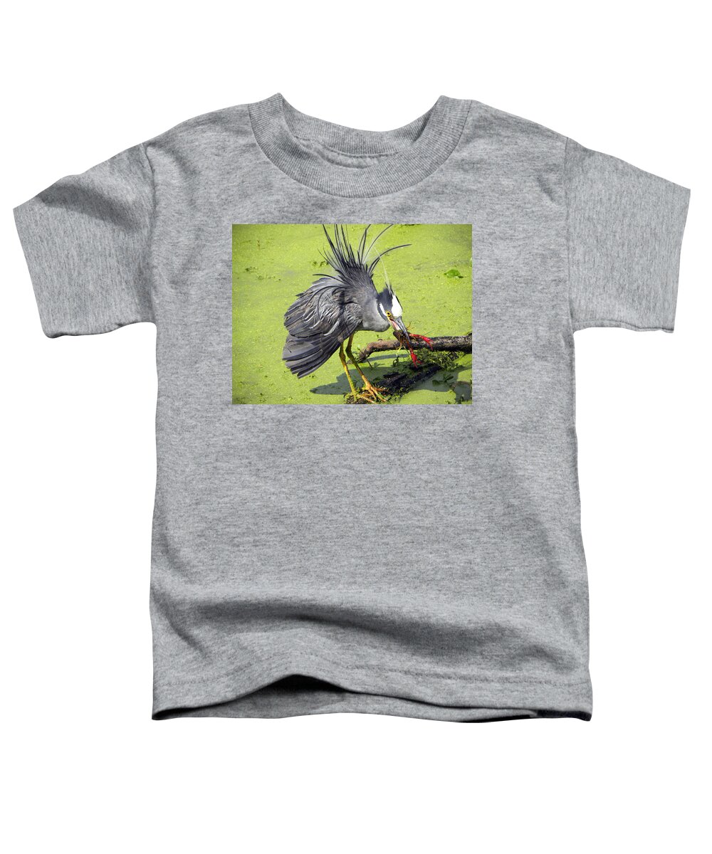 Yellow-crowned Night Heron Toddler T-Shirt featuring the photograph Yellow-crowned Night-Heron with crawfish by Savannah Gibbs