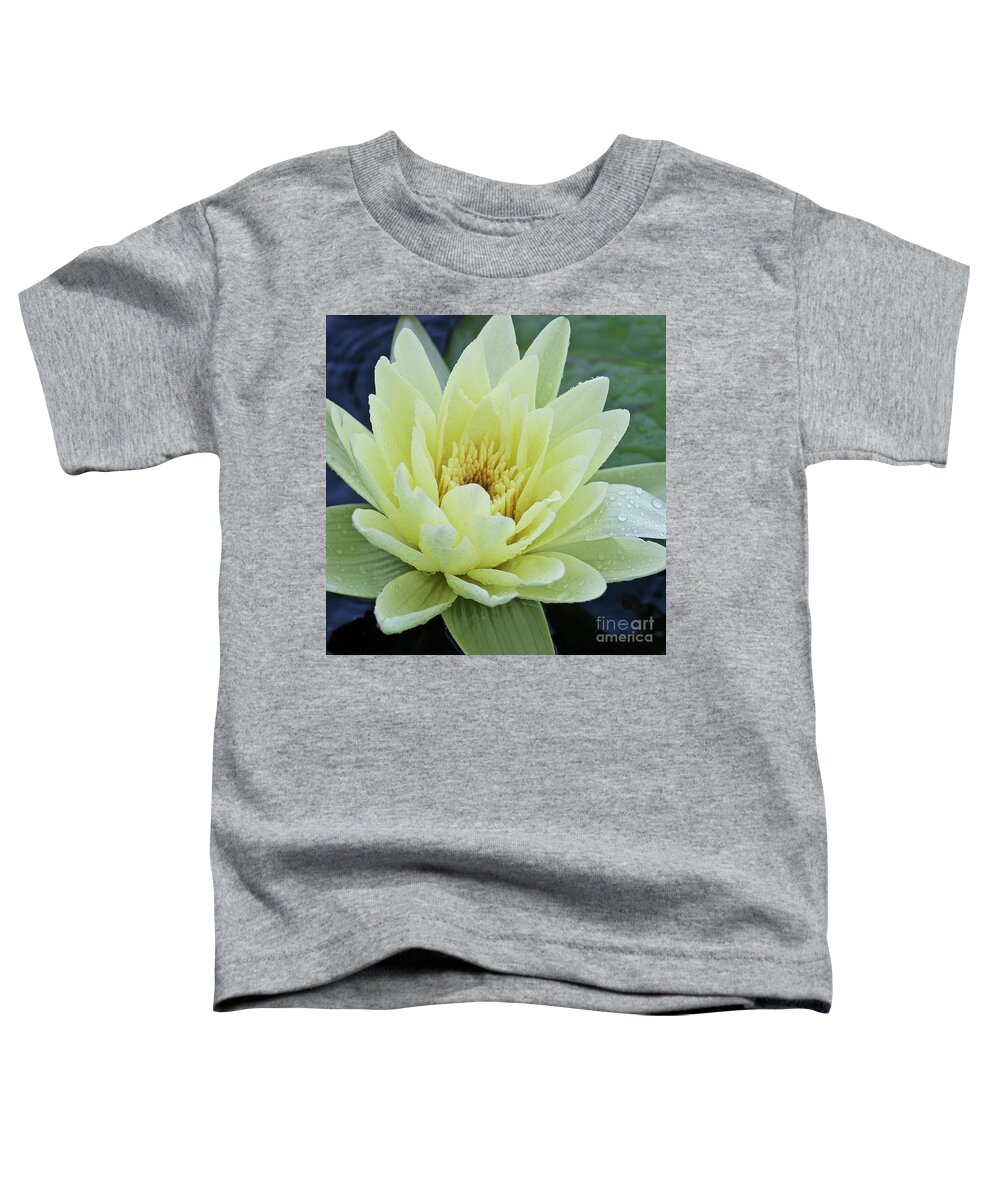Water Llilies Toddler T-Shirt featuring the photograph Yellow Water Lily Nymphaea by Heiko Koehrer-Wagner