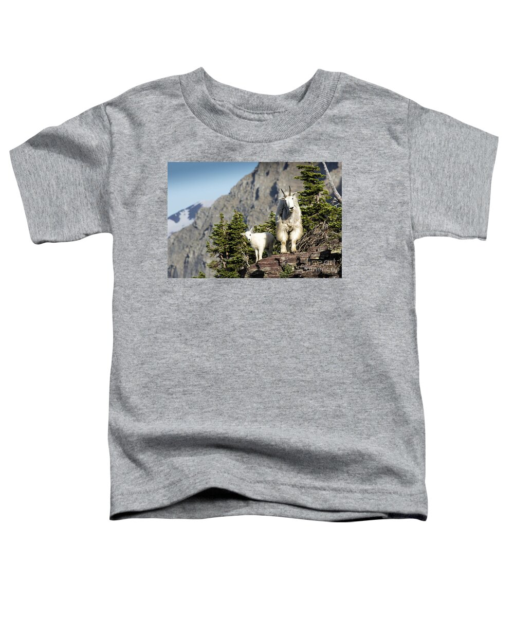 Glacier Toddler T-Shirt featuring the photograph You Lookin' At Us by Timothy Hacker