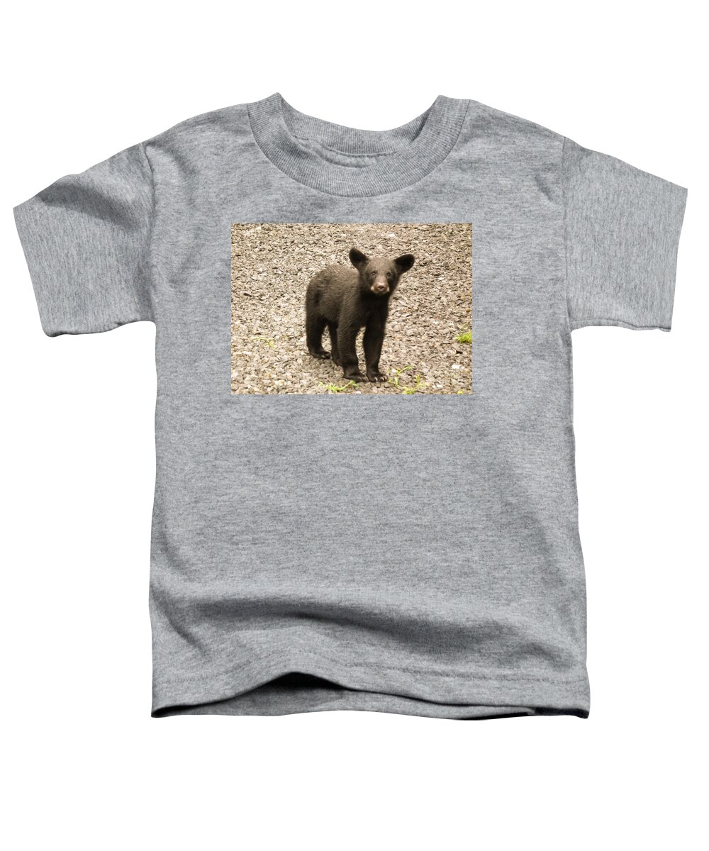 Young Toddler T-Shirt featuring the photograph Young Cub by Jan Dappen