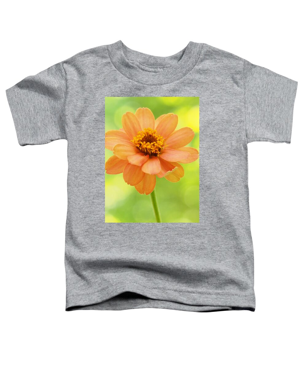 Flowers Toddler T-Shirt featuring the photograph Zinnia On A Brilliant Spring Day by Dorothy Lee