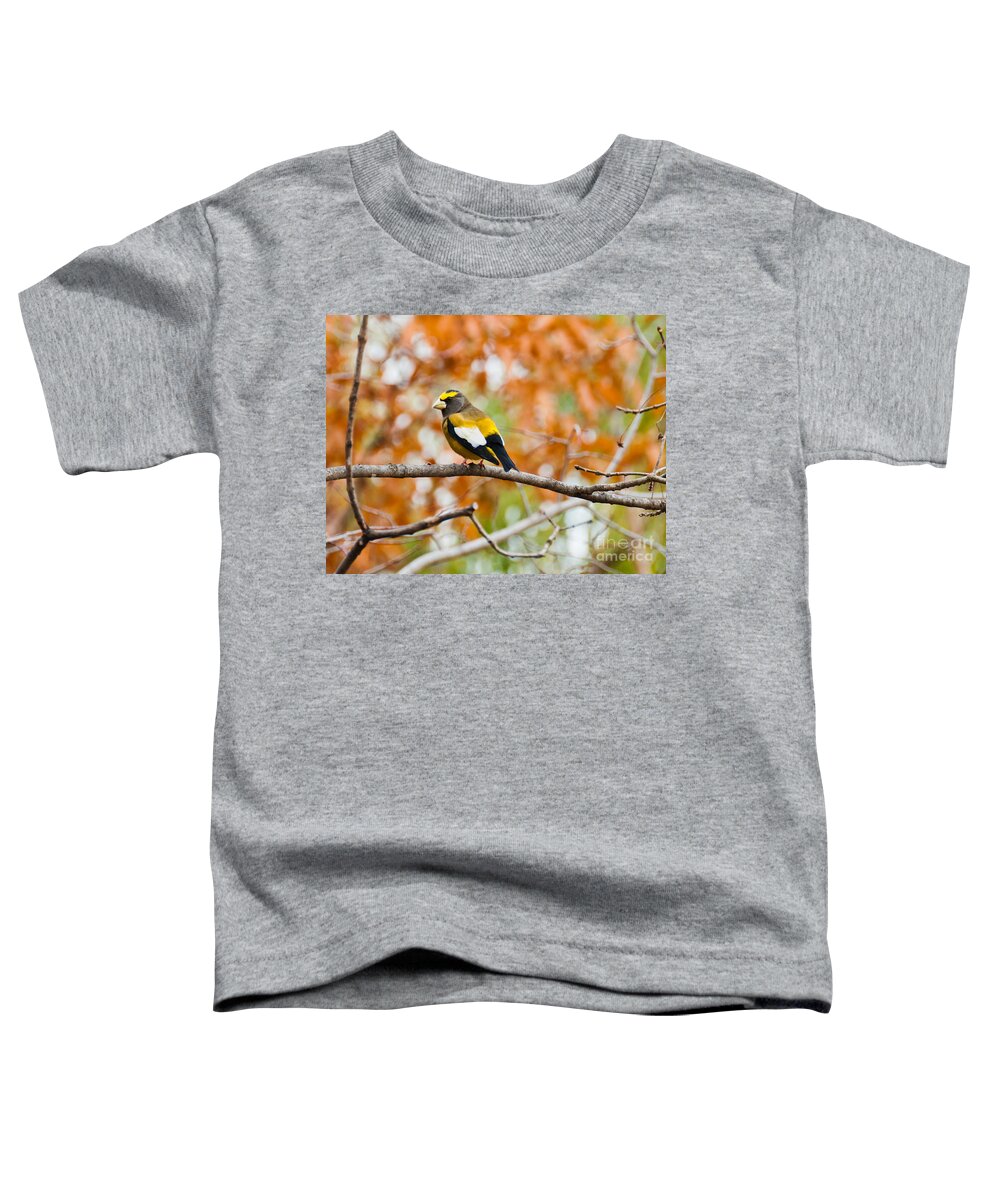Evening Grosbeak Toddler T-Shirt featuring the photograph Autumn Perch by Cheryl Baxter