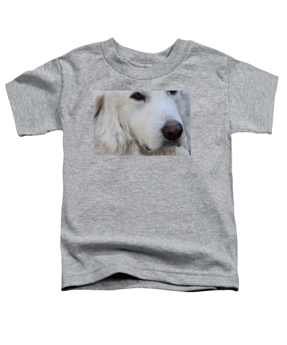 Dog Toddler T-Shirt featuring the photograph Great Pyrenees #1 by Kim Galluzzo