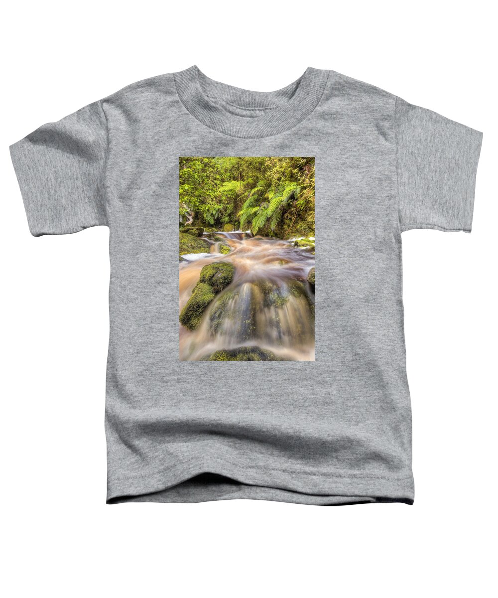00441950 Toddler T-Shirt featuring the photograph Stream And Ferns Oparara Basin Arches #1 by Colin Monteath