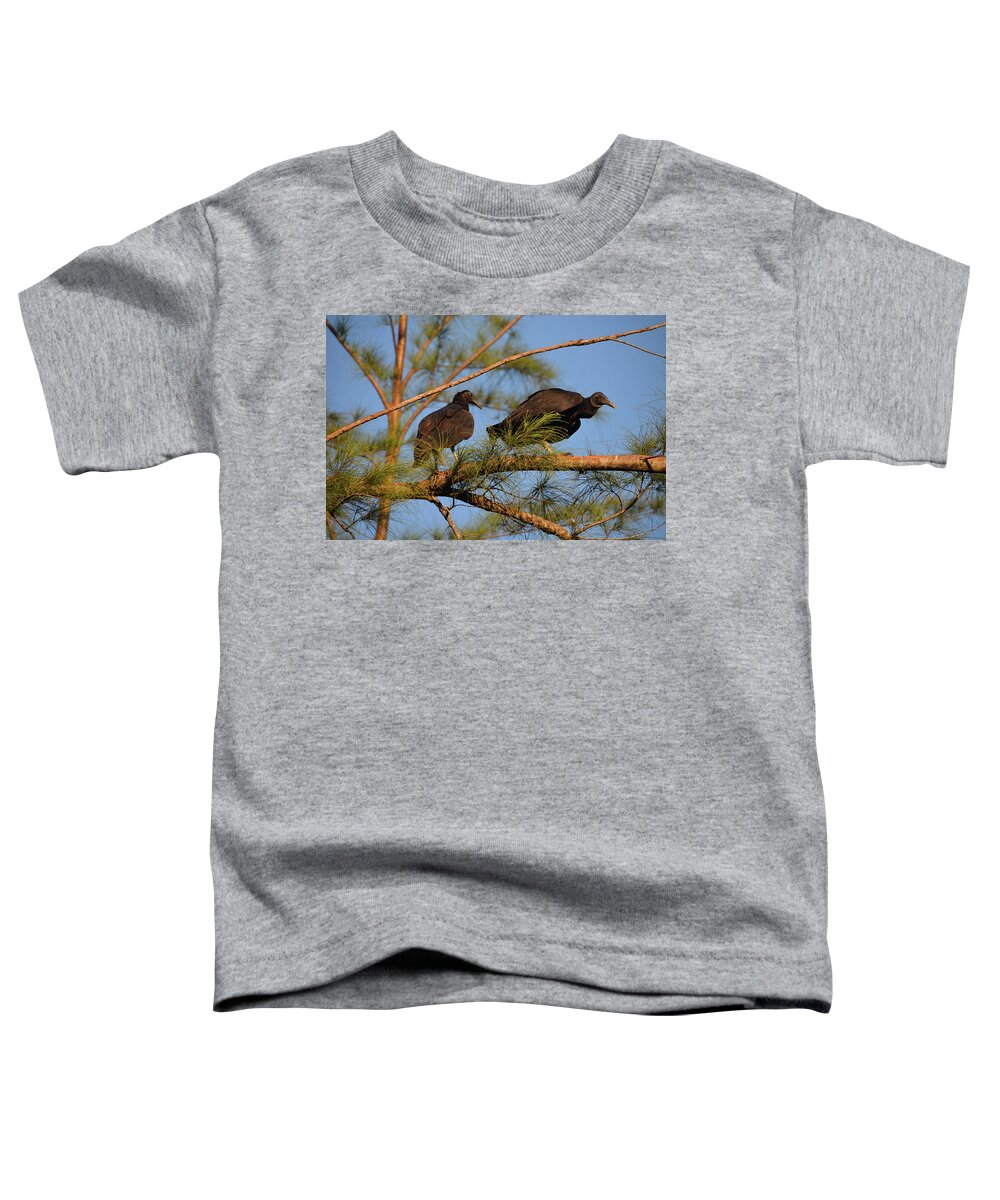 Turkey Vultures Toddler T-Shirt featuring the photograph 15- Turkey Vultures by Joseph Keane