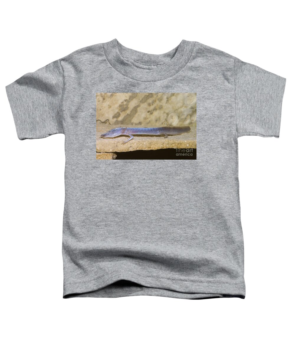 Fauna Toddler T-Shirt featuring the photograph Austin Blind Salamander #2 by Dante Fenolio