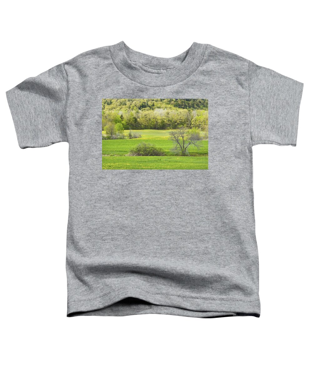 Spring Toddler T-Shirt featuring the photograph Spring Farm Landscape With Dandelion bloom in Maine #4 by Keith Webber Jr