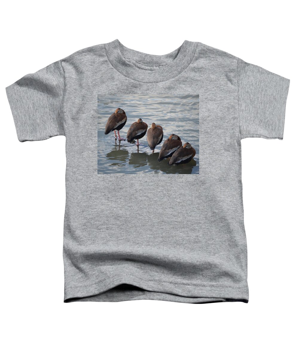 5 Toddler T-Shirt featuring the photograph 5 Bars by Maggy Marsh