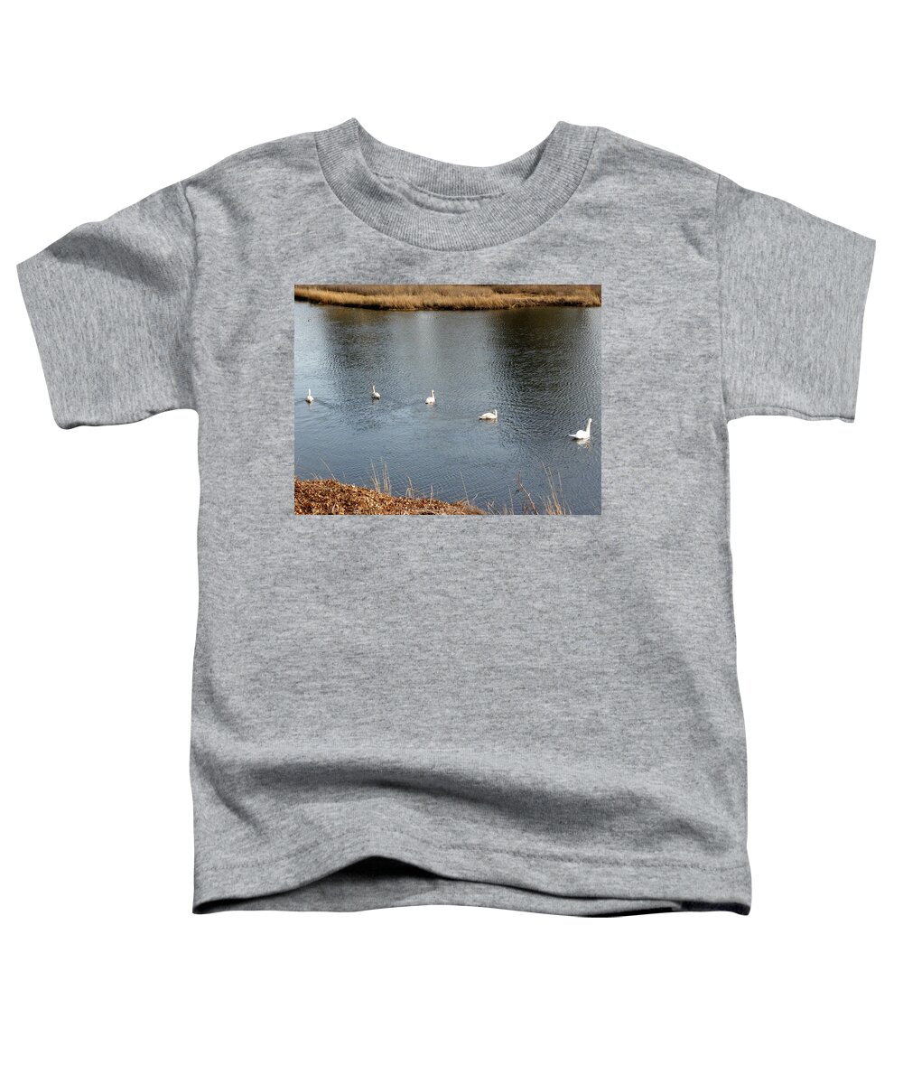 Swan Toddler T-Shirt featuring the photograph A family swim by Kim Galluzzo