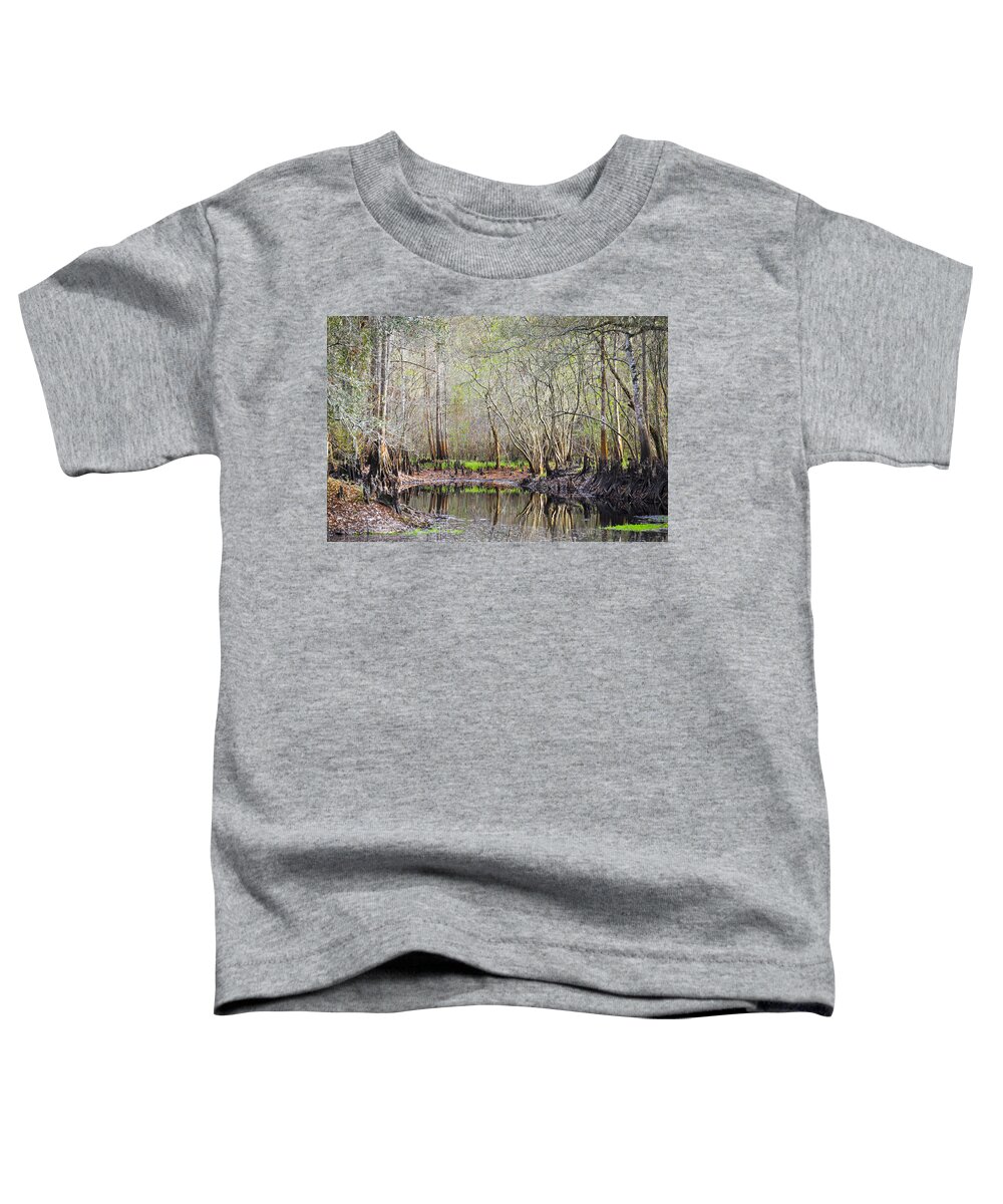 Cypress Trees Toddler T-Shirt featuring the photograph A Quiet Back Woods Place by Carolyn Marshall