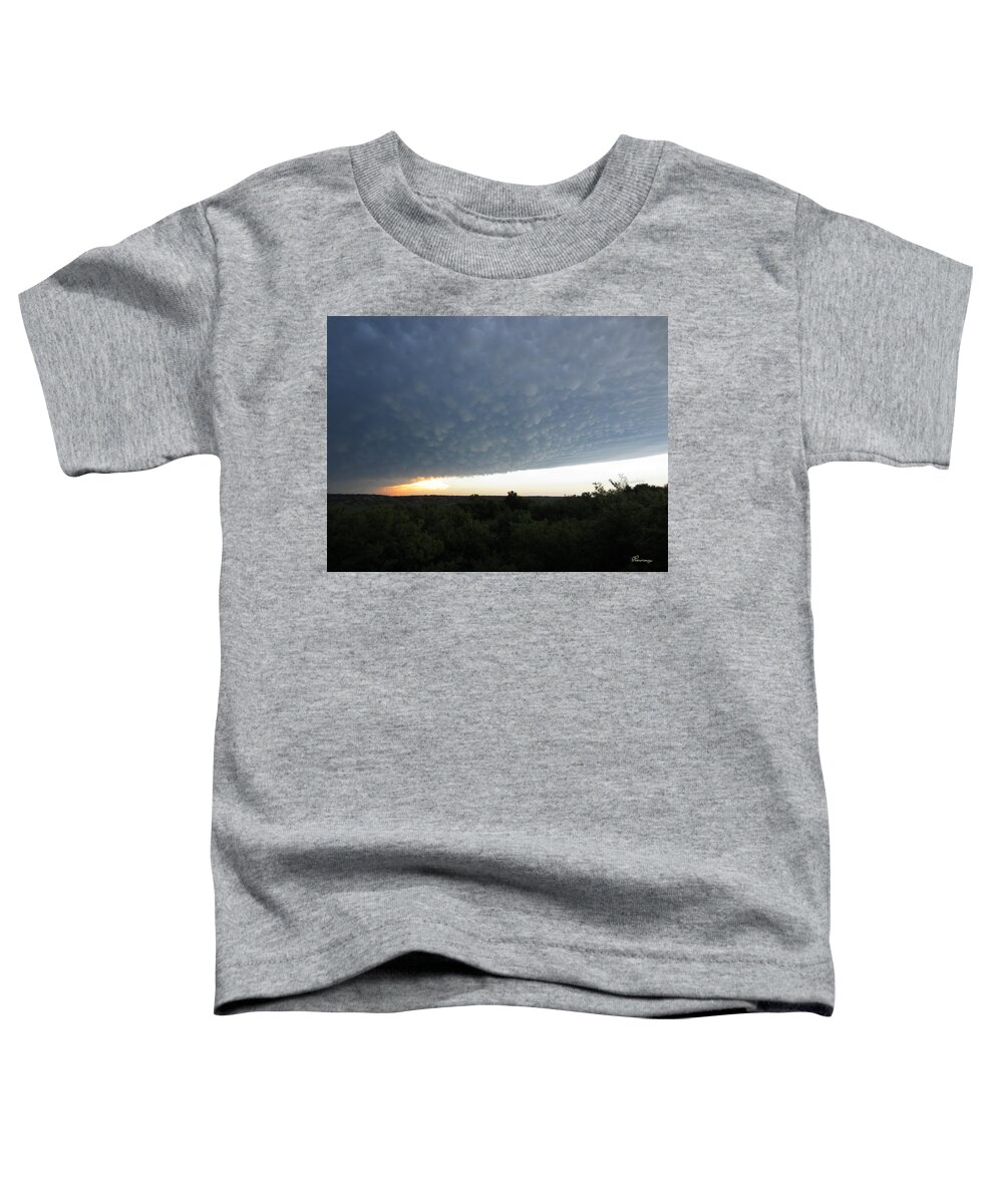 Tornado Toddler T-Shirt featuring the photograph After the Tornado by Andrea Lawrence