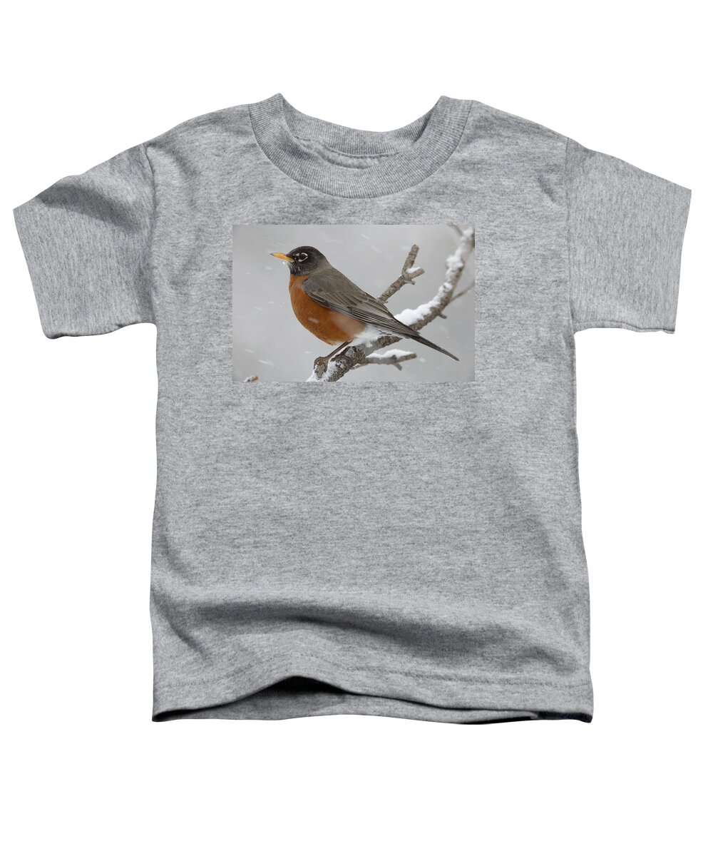 00176633 Toddler T-Shirt featuring the photograph American Robin Perching In Snow Storm by Tim Fitzharris
