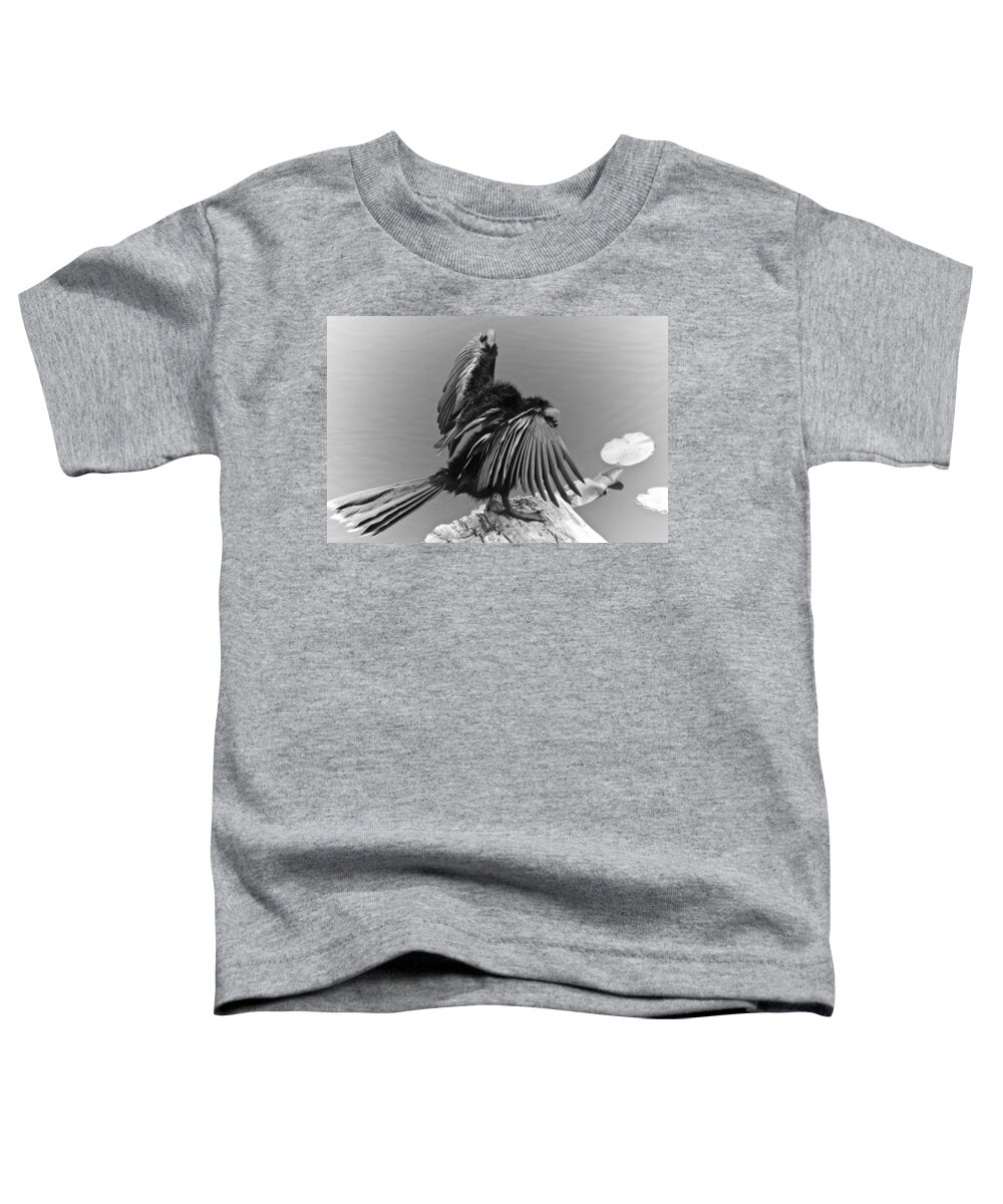 Anhinga Toddler T-Shirt featuring the photograph Anhinga Water Bird by Carolyn Marshall