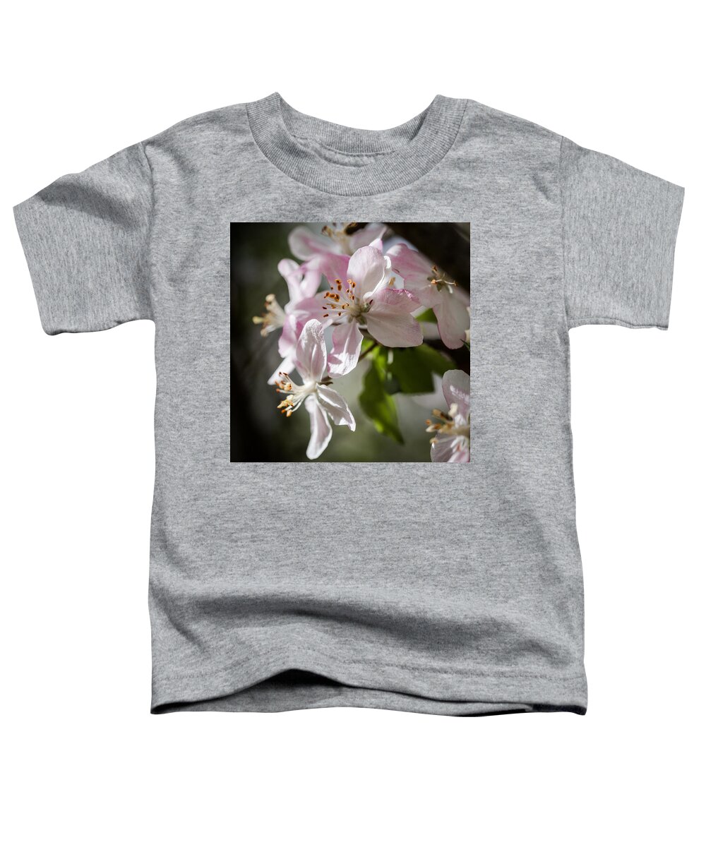 Apple Toddler T-Shirt featuring the photograph Apple Blossom by Ralf Kaiser