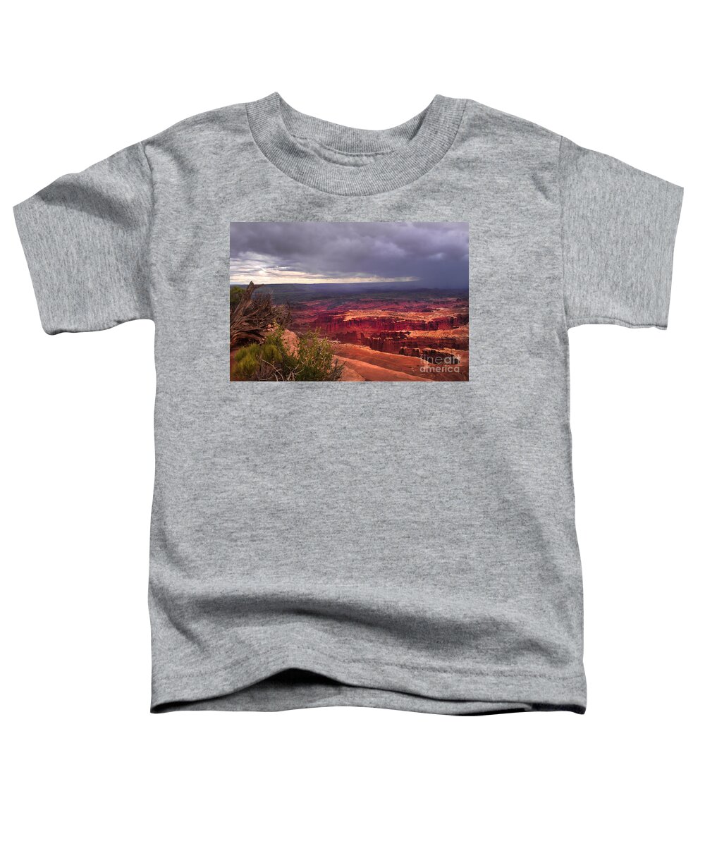Panoramic Toddler T-Shirt featuring the photograph Approaching Storm by Robert Bales