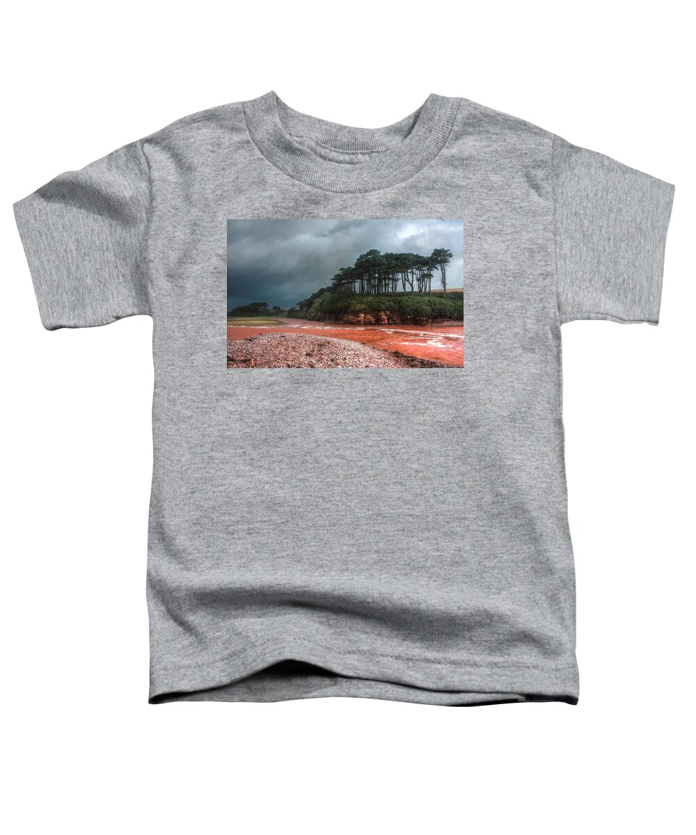 Storm Toddler T-Shirt featuring the photograph Approaching Storm by Shirley Mitchell